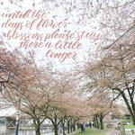 spring day